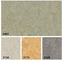 Forbo Marmoleum Decibel on Order 580135 river bank фото 2 | FLOORDEALER